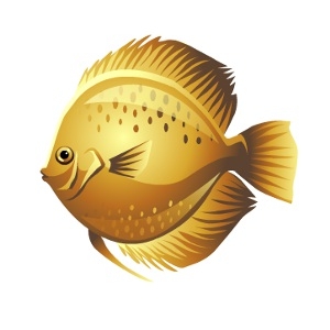 Lucky Gold Discus